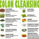 Colon Cleanse Diet Detoxifies Body the Natural Way